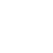 Load image into Gallery viewer, Brightness of the Star - 50% Offer