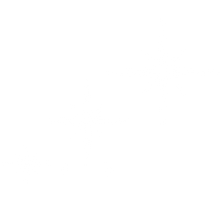 Load image into Gallery viewer, Brightness of the Star - 50% Offer