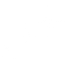 Load image into Gallery viewer, Brightness of the Star - 50% Offer