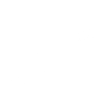 Load image into Gallery viewer, Brightness of the Star - 50% Offer
