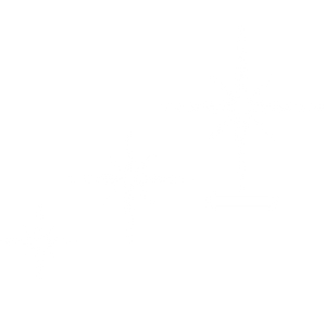Brightness of the Star - 50% Offer