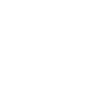 Package Options